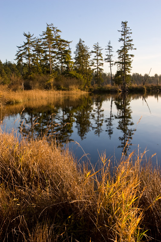 Cranberry Lake